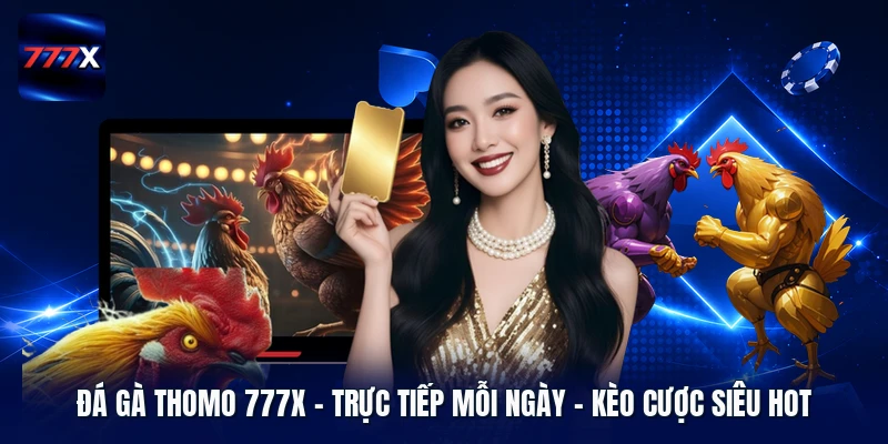 Đá Gà Thomo 777X | Trực Tiếp Mỗi Ngày - Kèo Cược Siêu Hot
