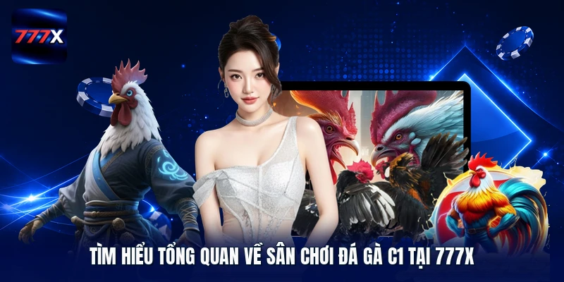 Tìm hiểu tổng quan về sân chơi đá gà C1 tại 777X 